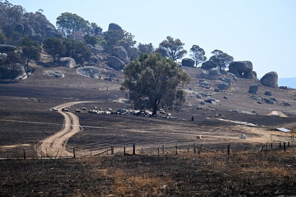Μεγάλες φωτιές σαρώνουν την Αυστραλία – Ένας νεκρός, χάθηκαν πάνω από 300 σπίτια