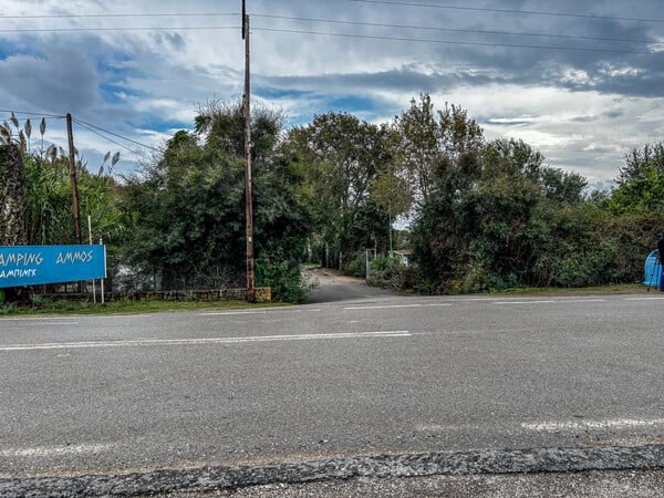 ΦΟΙΝΙΚΟΥΝΤΑ ΔΟΛΟΦΟΝΙΑ ΑΝΙΨΙΟΣ ΤΕΧΝΗΤΗ ΝΟΗΜΟΣΥΝΗ