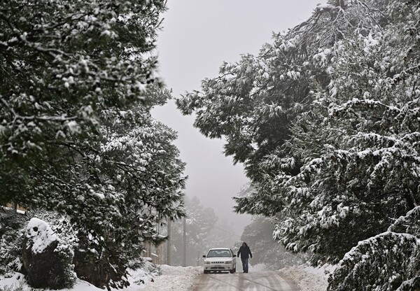 Καιρός: Κατακόρυφη πτώση της θερμοκρασίας - Χιόνια το βράδυ στην Αττική λέει ο Κολυδάς