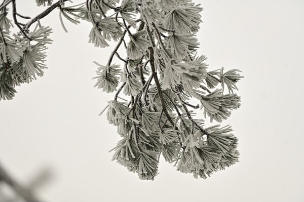 ΚΑΙΡΟΣ ΧΙΟΝΙΑ ΑΤΤΙΚΗ ΨΥΧΡΗ ΕΙΣΒΟΛΗ