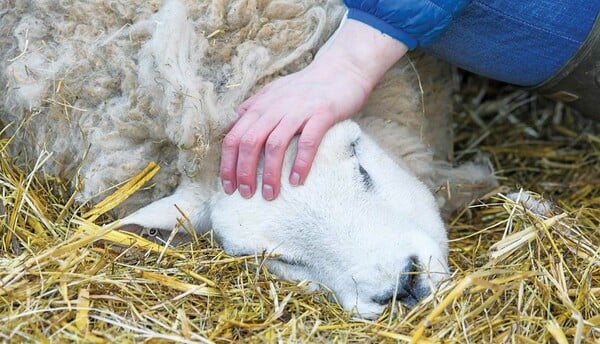 Τρεις αυτοκτονίες και μια κοινωνία που τις προσπερνά τόσο εύκολα
