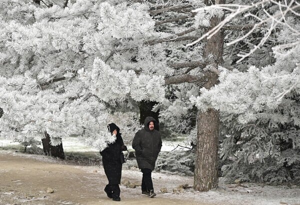 Στα λευκά η Πάρνηθα: Εικόνες από την πρώτη χιονόπτωση της νέας χρονιάς στην Αττική 