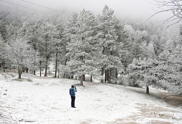 Στα λευκά η Πάρνηθα: Εικόνες από την πρώτη χιονόπτωση της νέας χρονιάς στην Αττική 