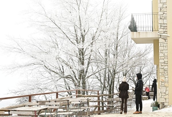 Στα λευκά η Πάρνηθα: Εικόνες από την πρώτη χιονόπτωση της νέας χρονιάς στην Αττική 