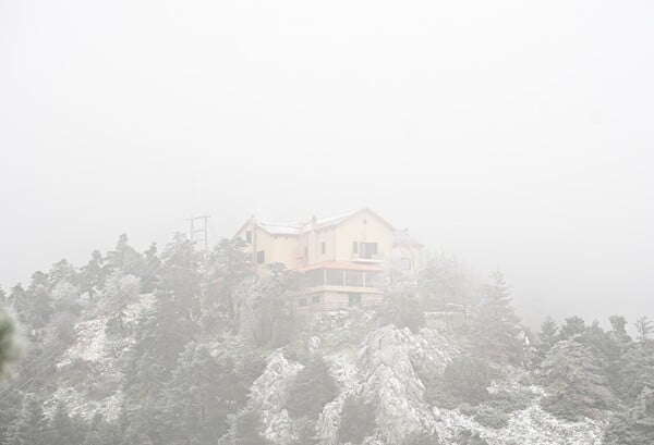 Στα λευκά η Πάρνηθα: Εικόνες από την πρώτη χιονόπτωση της νέας χρονιάς στην Αττική 