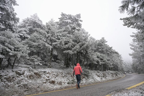 ΚΑΙΡΟΣ ΓΙΩΡΓΟΣ ΤΣΑΤΡΑΦΥΛΛΙΑΣ