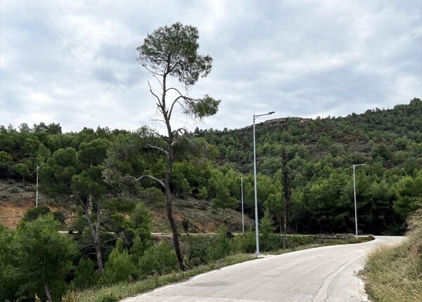 CHECK Σπέτσες: το χρονικό ενός αμφιλεγόμενου έργου/ Σπέτσες: Οδική ασφάλεια ή αλλοίωση τοπίου;