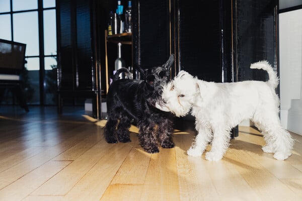 Ένα σπίτι που ξέρει από κομψότητα 