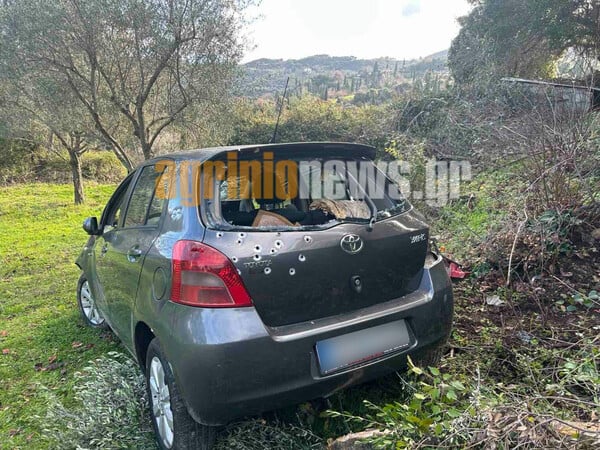 ΑΓΡΙΝΙΟ ΔΟΛΟΦΟΝΙΑ