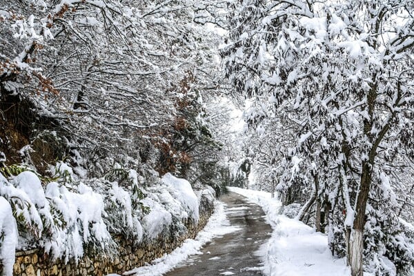 Καιρός: Ψύχος και χιονισμένα τοπία σε Θεσσαλία, Στερεά και Μακεδονία