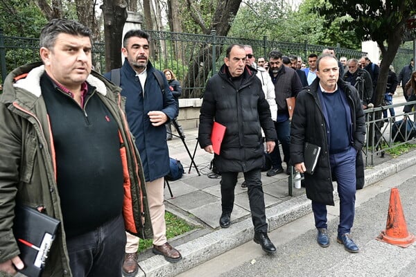 ΑΓΡΟΤΕΣ ΜΗΤΣΟΤΑΚΗΣ ΣΥΝΑΝΤΗΣΗ ΜΑΞΙΜΟΥ