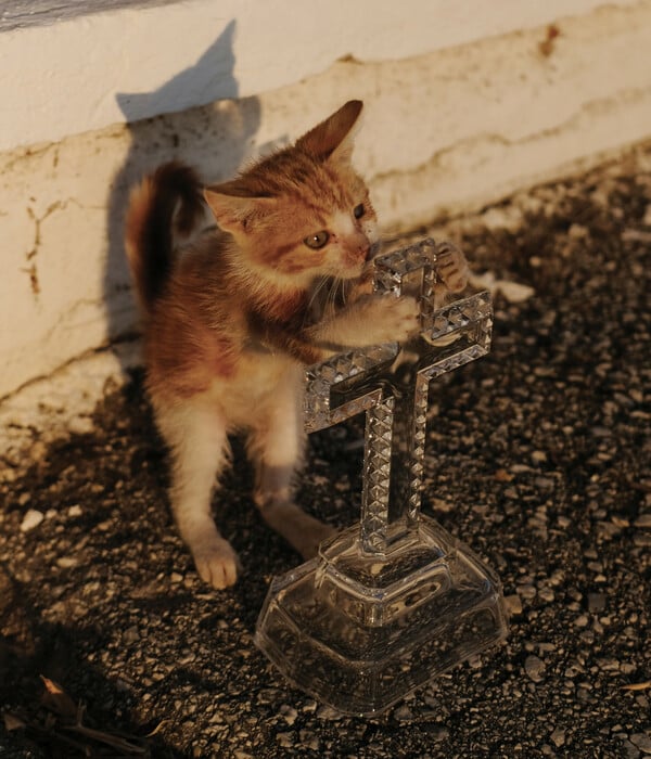 Ο Θεόδωρος Γεννιτσάκης παντρεύει την Αρχαία Ελληνική μυθολογία με τις σύγχρονες υποκουλτούρες του δρόμου» της Dalia Al-Dujaili 