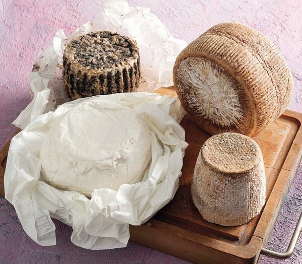 ΥΠΟΥΡΓΕΙΟ ΠΟΛΙΤΙΣΜΟΥ ΑΥΛΗ ΠΟΛΙΤΙΣΤΙΚΗ ΚΛΗΡΟΝΟΜΙΑ ΤΥΡΟΚΟΜΙΑ ΚΥΚΛΑΔΩΝ