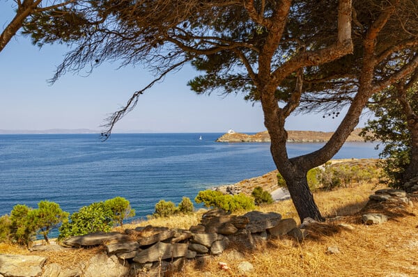 «Αντί για αποκέντρωση, όπως λέγεται συχνά, πιο πολύ μοιάζει να έχω βρει το κέντρο μου»