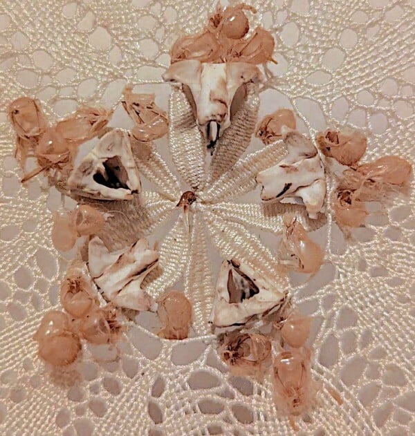 22 πολιτιστικές εκδηλώσεις γι’ αυτή την εβδομάδα (22-28/1)