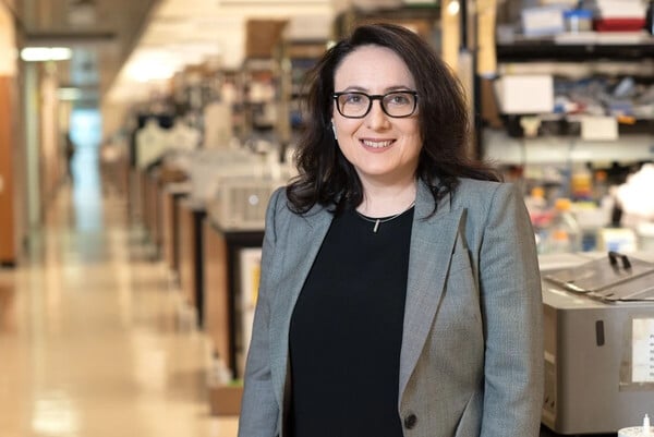 ΚΑΤΕΡΙΝΑ ΑΚΑΣΟΓΛΟΥ ΑΛΤΣΧΑΪΜΕΡ