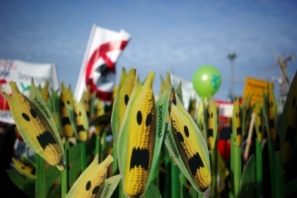 Η «τζένγκα» των νέων μεταλλαγμένων και πώς θα φτάσουν στο πιάτο μας