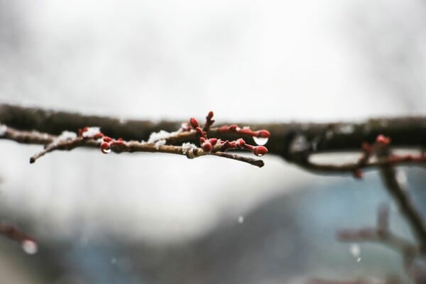 Νέα μεταβολή του καιρού με «λασποβροχές, χιόνια και 20άρια» - Καταιγίδες εκ νέου στην Αττική