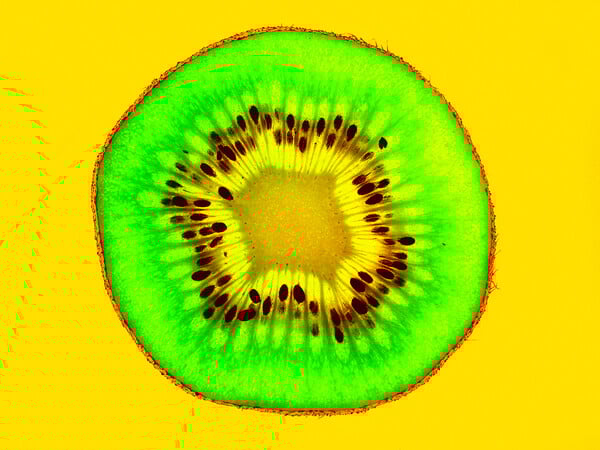 «Οι καταναλωτές δεν θα γνωρίζουν τι τρώνε και οι αγρότες τι καλλιεργούν»