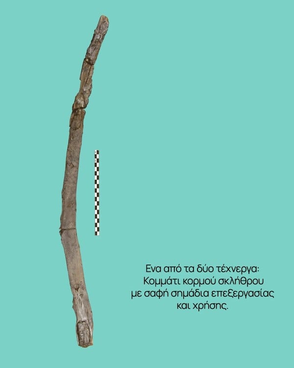 Σπουδαία ανακάλυψη στη Μεγαλόπολη: Εντοπίστηκαν ίσως τα αρχαιότερα ξύλινα εργαλεία του κόσμου