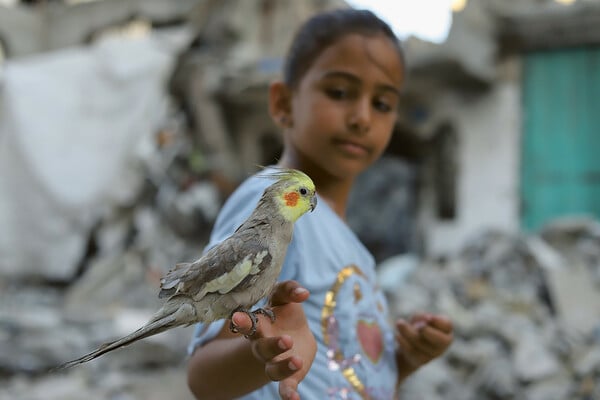 Φάτμα Χασόνα: Η τελευταία φωτορεπόρτερ της Γάζας