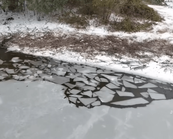 «Δεν μπόρεσα να τα σώσω»: Τρία αδέλφια πνίγηκαν όταν έσπασε ο πάγος σε λίμνη του Τέξας