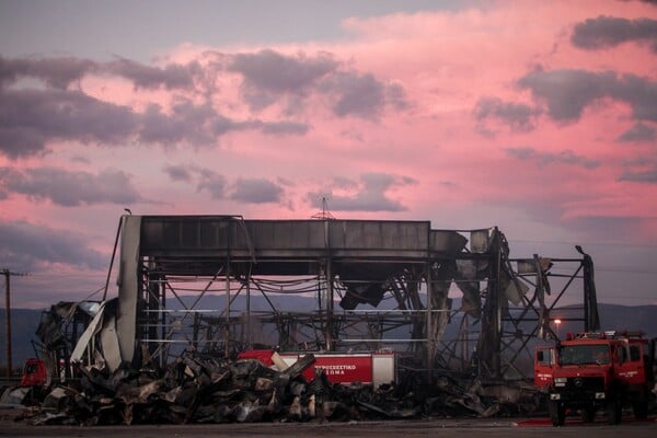 ΕΚΡΗΞΗ ΒΙΟΛΑΝΤΑ ΣΥΛΛΗΨΕΙΣ ΝΕΚΡΕΣ