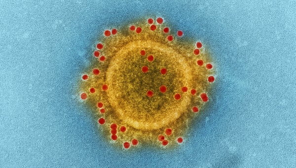 Nipah: Τι είναι, πού εντοπίζεται και πώς μεταδίδεται ο επικίνδυνος ιός