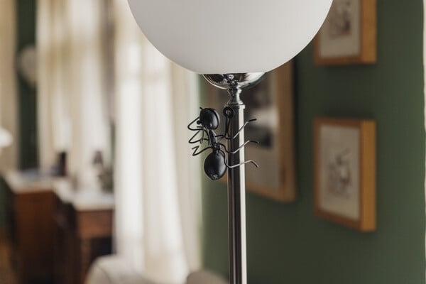 Ένα σπίτι γεμάτο ιστορία