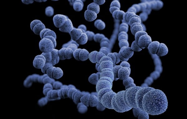 ΣΗΨΗ ΦΑΡΜΑΚΟ ΑΝΘΡΩΠΟΙ