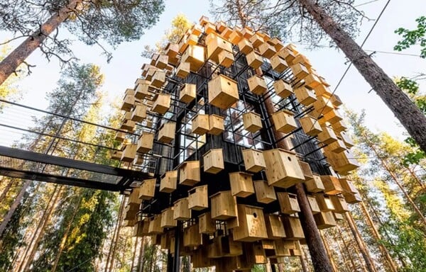 ΔΕΝΤΡΟΣΠΙΤΑ ΠΙΟ ΕΝΤΥΠΩΣΙΑΚΑ ΣΤΟΝ ΚΟΣΜΟ