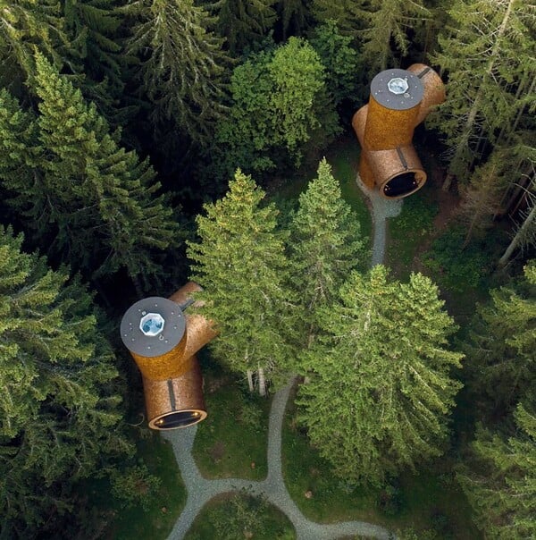 ΔΕΝΤΡΟΣΠΙΤΑ ΠΙΟ ΕΝΤΥΠΩΣΙΑΚΑ ΣΤΟΝ ΚΟΣΜΟ