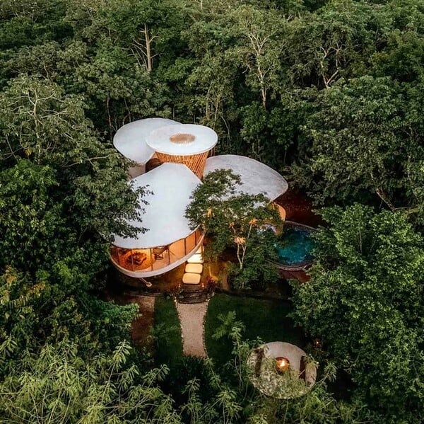 ΔΕΝΤΡΟΣΠΙΤΑ ΠΙΟ ΕΝΤΥΠΩΣΙΑΚΑ ΣΤΟΝ ΚΟΣΜΟ