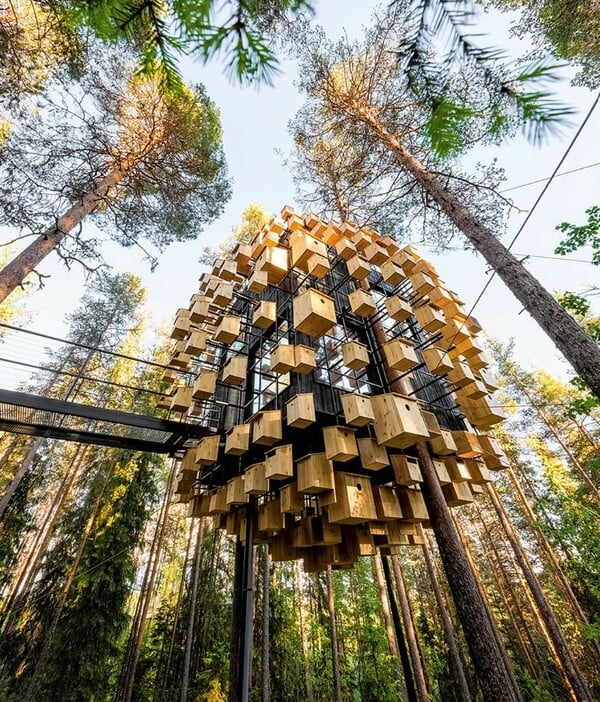 ΔΕΝΤΡΟΣΠΙΤΑ ΠΙΟ ΕΝΤΥΠΩΣΙΑΚΑ ΣΤΟΝ ΚΟΣΜΟ