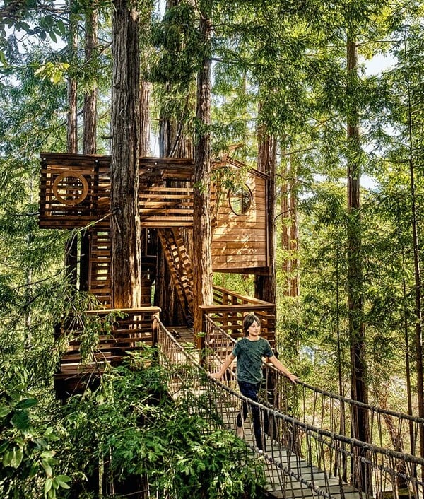 ΔΕΝΤΡΟΣΠΙΤΑ ΠΙΟ ΕΝΤΥΠΩΣΙΑΚΑ ΣΤΟΝ ΚΟΣΜΟ