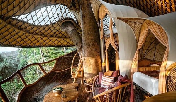 ΔΕΝΤΡΟΣΠΙΤΑ ΠΙΟ ΕΝΤΥΠΩΣΙΑΚΑ ΣΤΟΝ ΚΟΣΜΟ