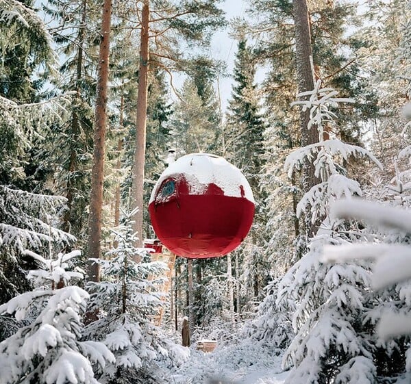 ΔΕΝΤΡΟΣΠΙΤΑ ΠΙΟ ΕΝΤΥΠΩΣΙΑΚΑ ΣΤΟΝ ΚΟΣΜΟ