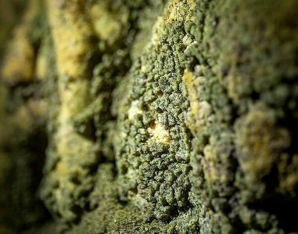 ΣΠΗΛΑΙΟ ΑΝΑΚΑΛΥΨΗ ΕΠΙΣΤΗΜΟΝΕΣ