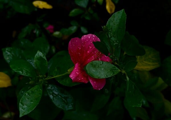 ΚΑΙΡΟΣ ΒΡΟΧΕΣ ΕΜΥ