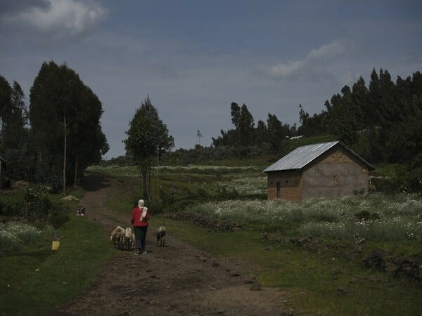 Ένα ταξίδι στη Ρουάντα σε αλλάζει για πάντα