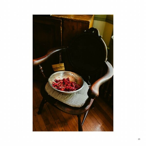 *Aν πέσω, θα ξαναβρώ το φως. Ακόμα κι αν με κάψει πάλι / από τον Πάνο Μιχαήλ