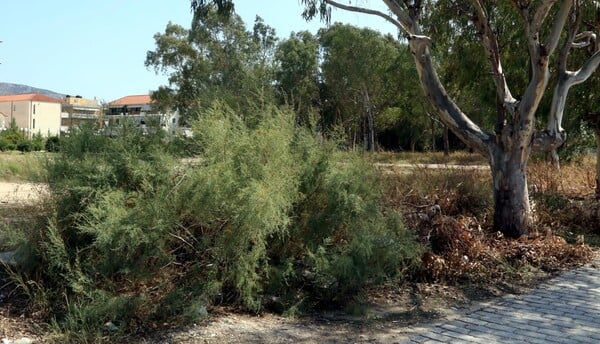 ΑΚΑΘΑΡΙΣΤΑ ΟΙΚΟΠΕΔΑ ΑΛΛΑΓΕΣ ΝΟΜΟΣΧΕΔΙΟ