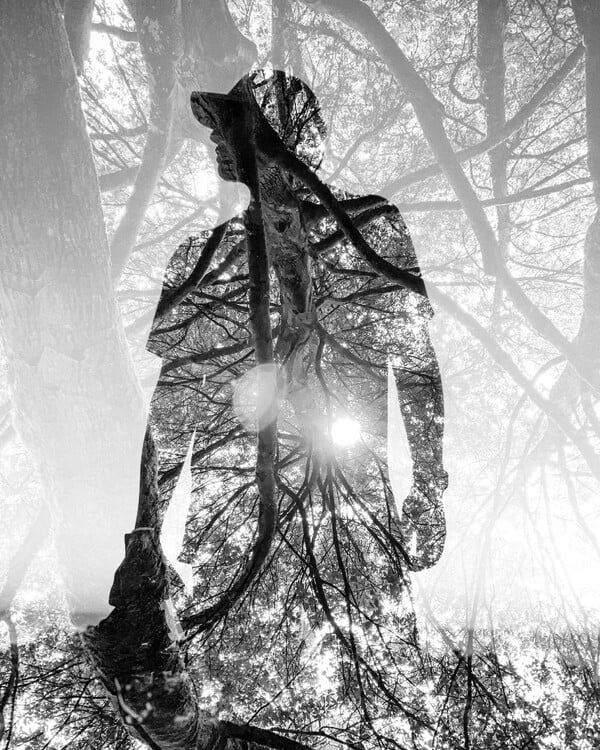 *Aν πέσω, θα ξαναβρώ το φως. Ακόμα κι αν με κάψει πάλι / από τον Πάνο Μιχαήλ