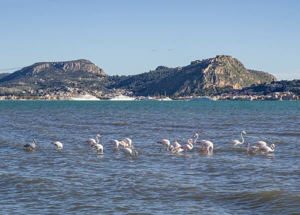 Αρχαία Επίδαυρος