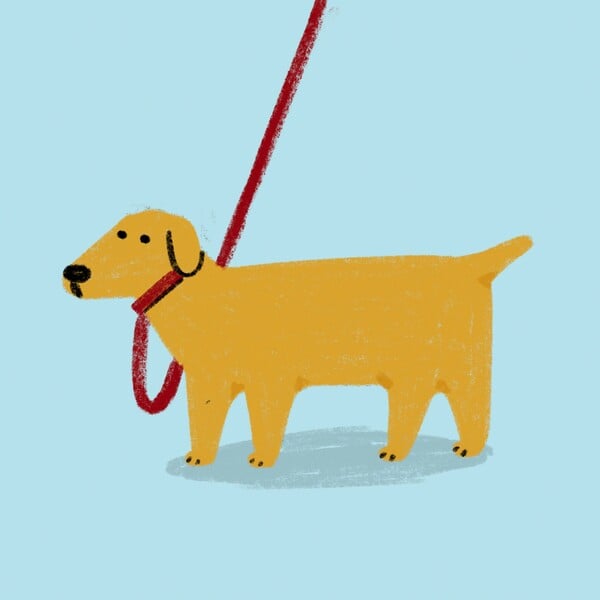 Στο group chat των κατοικίδιων, κάθε ερώτηση έχει απάντηση