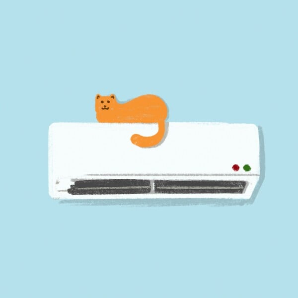 Στο group chat των κατοικίδιων, κάθε ερώτηση έχει απάντηση