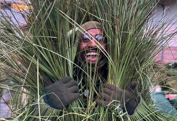 BAD BUNNY ΘΑΜΝΟΙ SUPER BOWL ΧΡΗΜΑΤΑ