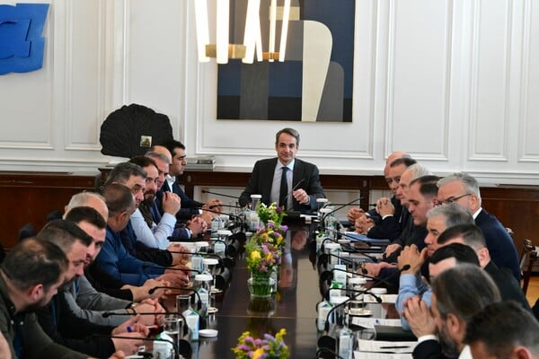 ΚΤΗΝΟΤΡΟΦΟΙ ΜΗΤΣΟΤΑΚΗΣ 