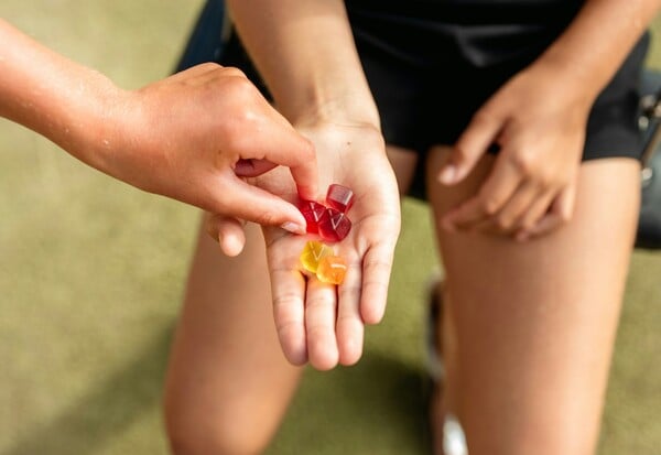 ΖΕΛΕΔΑΚΙΑ ΑΝΑΚΛΗΣΗ ΕΦΕΤ