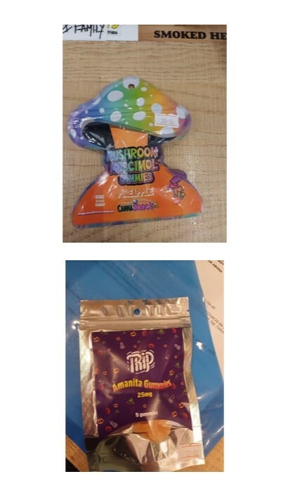 ΖΕΛΕΔΑΚΙΑ ΑΝΑΚΛΗΣΗ ΕΦΕΤ